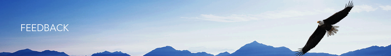 FEEDBACK
